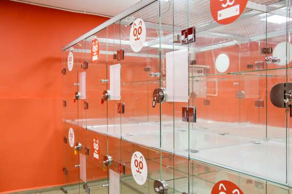 Зоогостиница BookingCat Люберцы/Жулебино в Люберцы фото 45