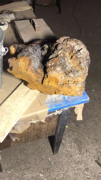 Продам Чагу в Томске фото 5