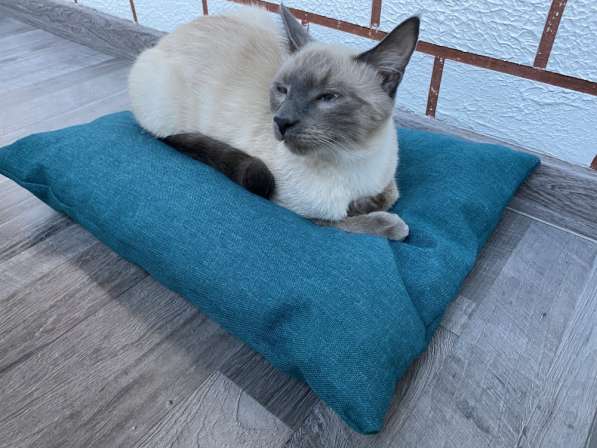 Подушка лежанка Barbaris для кошек Бирюза в Хабаровске