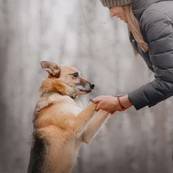 Харизматичный Марк ищет дом в Москве фото 33