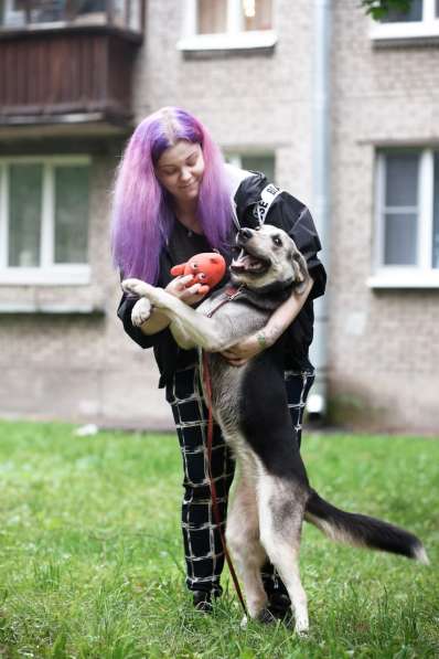 Мягкая Лея - собака с удивительной шерсткой в Санкт-Петербурге фото 9