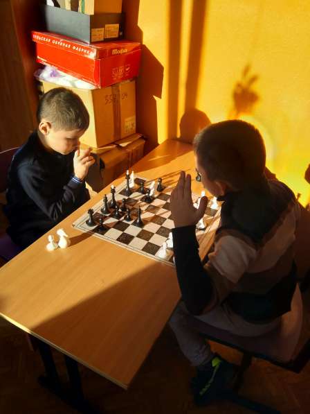 Тренер по шахматам (дистанционно) в Новосибирске