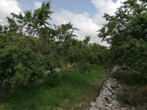 Land for sale in Lebanon, close to the sea, and quiet area в фото 7