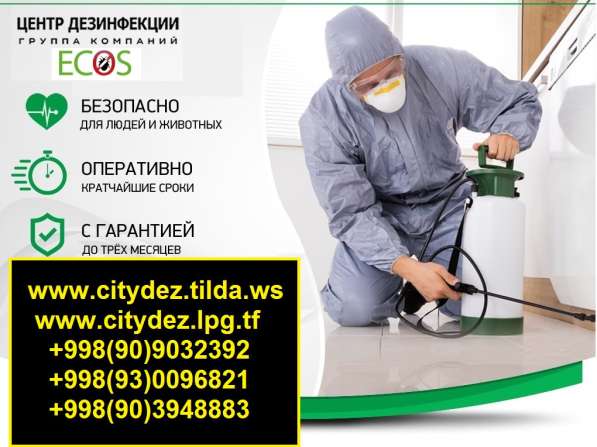 Обработка в Ташкенте от клопов, тараканов, блох, крыс в фото 5