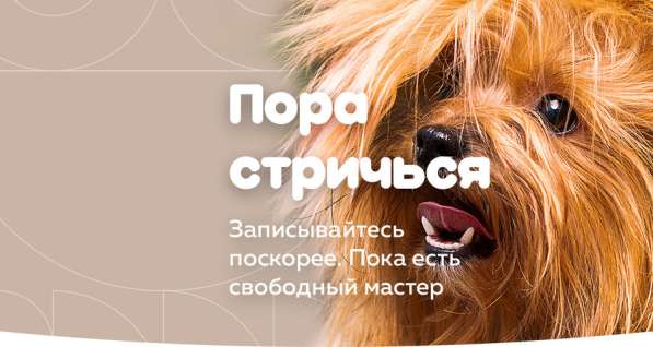 ГрумЛюкс &ndash; это груминг класса люкс в Москве