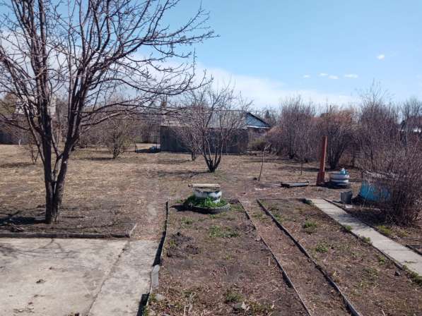 Продаётся дача СТ "Нива-82"(Озеро Орлово") в Кургане фото 9