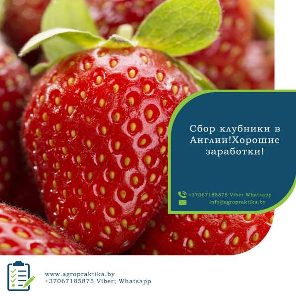 Компания «Agropraktika»