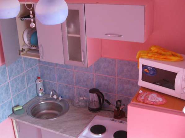 Хозяин! 1 ком. на Стрелке в фото 16