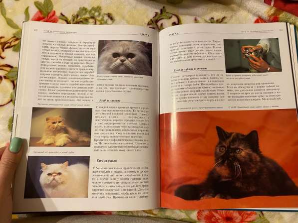 Книга «кошки» в Санкт-Петербурге фото 5