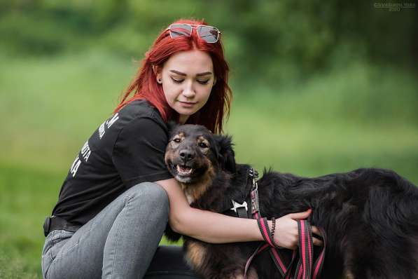 Собака-терапевт Пайпер ищет семью в Москве фото 21