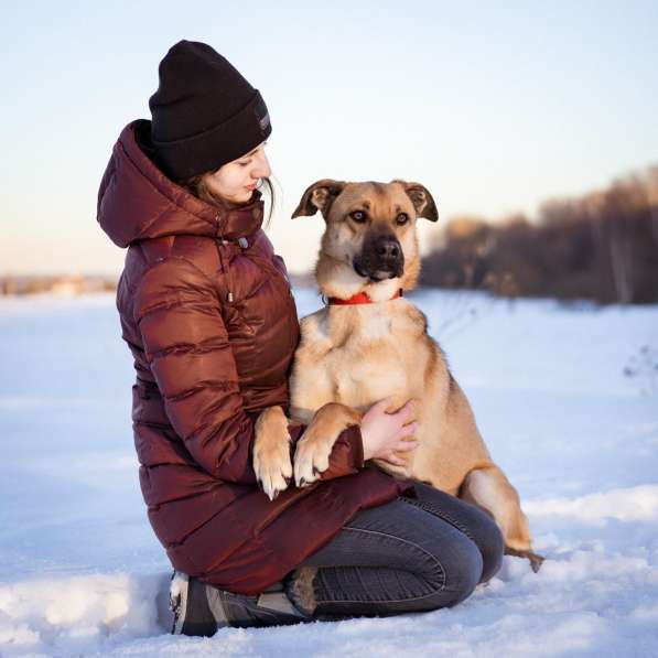 Собака в добрые руки бесплатно в Москве фото 6
