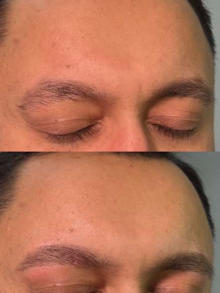 Бровист в Норильске фото 6