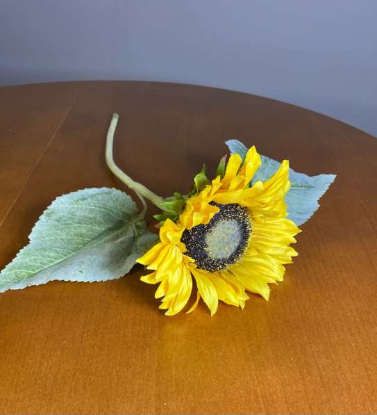 Подсолнух 5 штук в Коломне