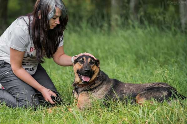 Брюс ищет семью в Москве фото 18