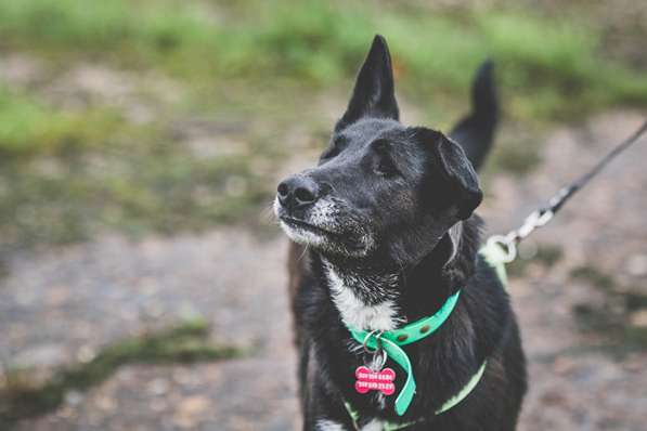 Уникальная Шерри в поисках своего Человека в Москве