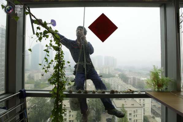 Мойка окон и балконов методом промышленного альпинизма!!! в Челябинске фото 6