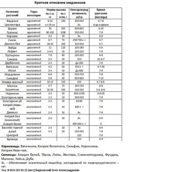 Продам! Семена медоносных растений