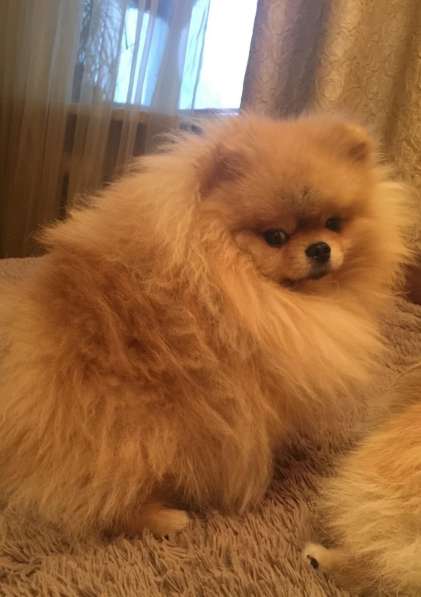 Маленькая чудесная девочка 4 месяца в фото 12