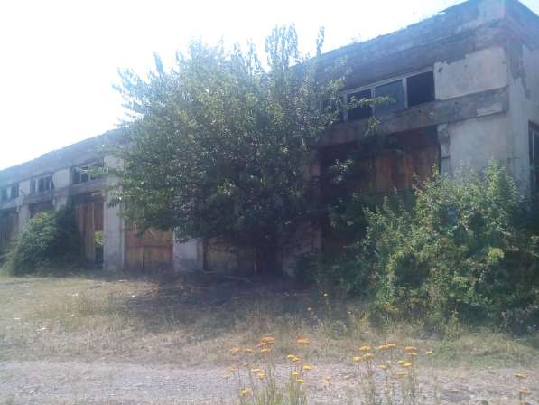 В Грузии, в Телави в фото 10