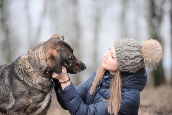 Надёжный Друг Курт ищет семью в Москве фото 60