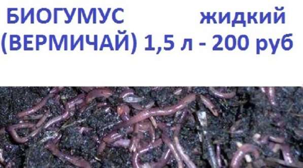 Биогумус жидкий (Вермичай) концентрат в Новосибирске фото 3