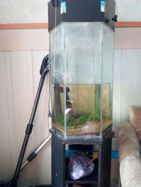 Продам стильный аквариум