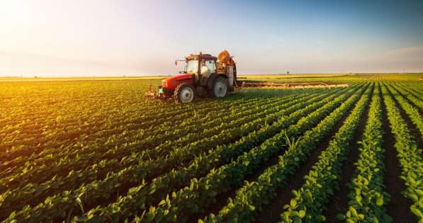 Angajăm Personal necalificat în domeniul AGRICULTURII