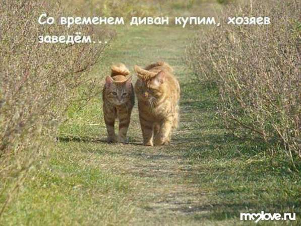 Aleks, 61 год, хочет пообщаться