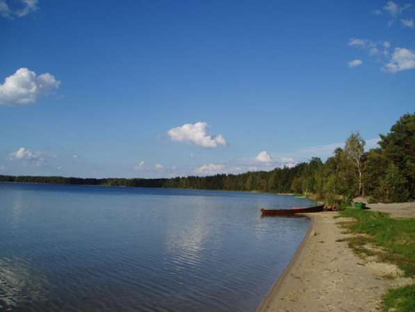 Усадьба у озера Свитязь в РБ. Кемпинг в фото 5