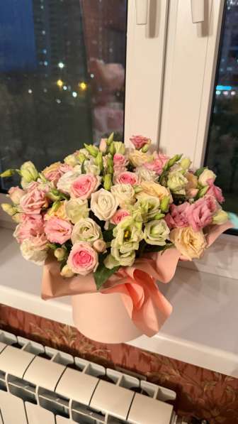 Розы кустовые