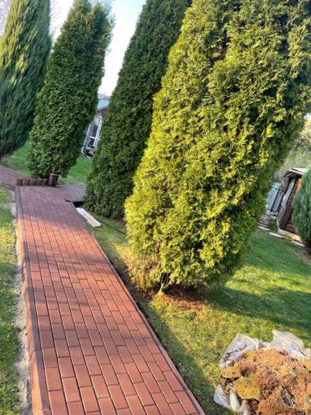 Тротуарная плитка укладка ключ в Серпухове фото 5