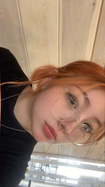 Возьму шпица, не дорого!