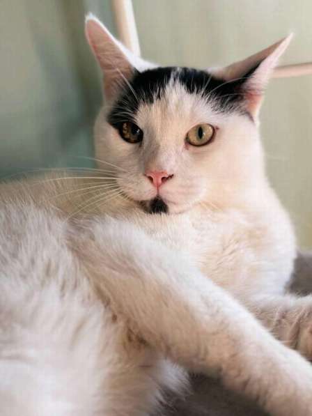 Йогурт — не про еду, а про любовь! в Москве фото 3