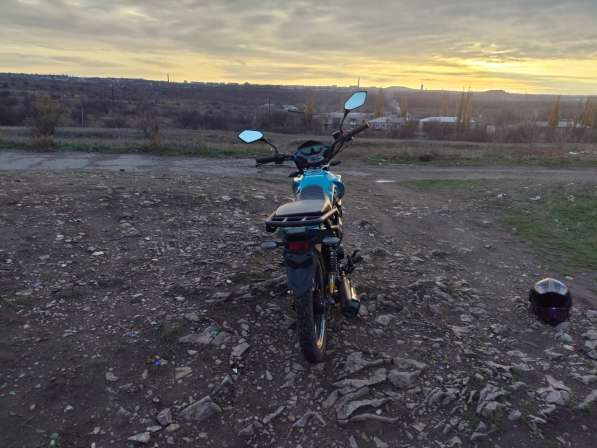 Продам альфу чамп в фото 4