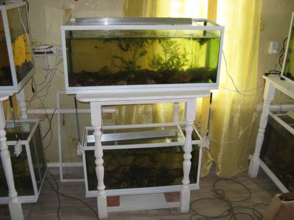 Продам аквариум, надёжный и крепкий, усиленный в Самаре фото 6