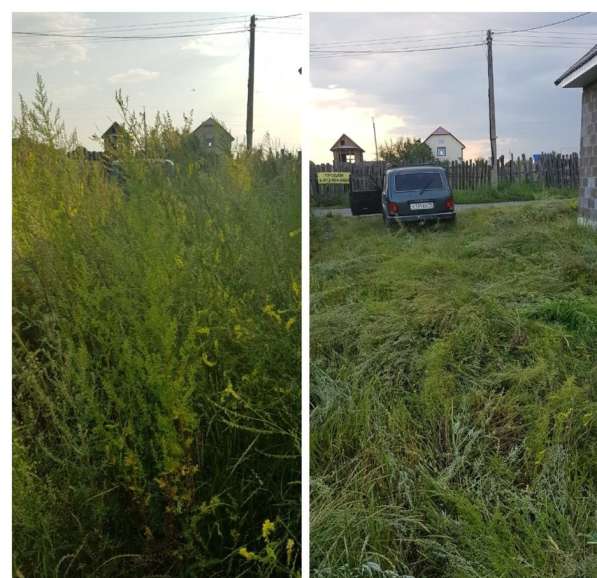 Скос травы Покос травы в Красноярске фото 8
