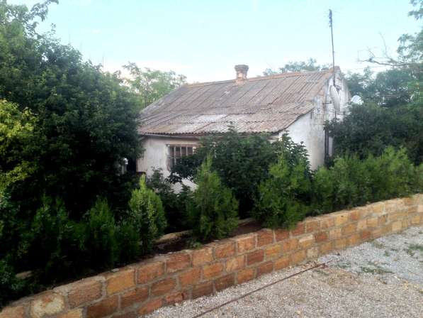 Дом старый + мини-гостиница на 20 сотках Витино-Евпатория в Евпатории фото 3