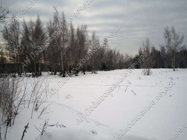 realty_mapper3.plot_in_locationПлощадь 253.00 сот.Есть Электричество, Газ. в Москве фото 18