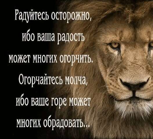 Nikita, 50 лет, хочет пообщаться