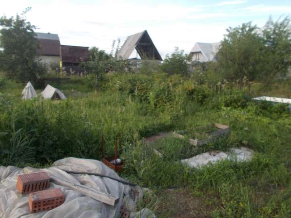 Продам сад с баней в Челябинске фото 15