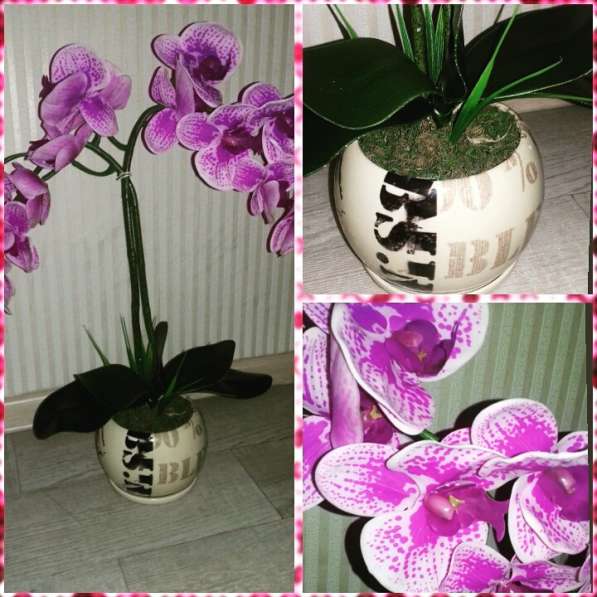 Орхидея -фаленопсис интерьерная композиция