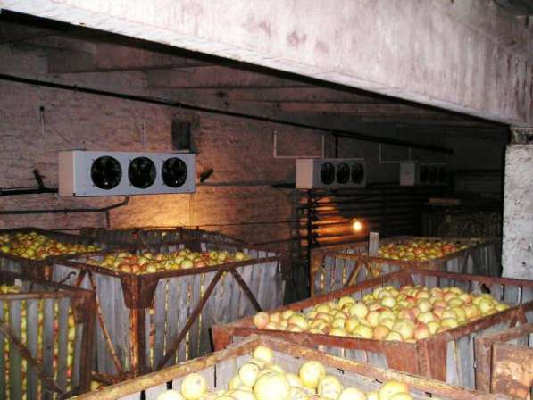 Монтаж холодильных камер для хранения яблок в Крыму в Симферополе фото 4