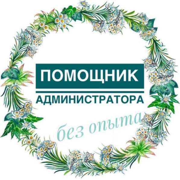Помощник Администратора