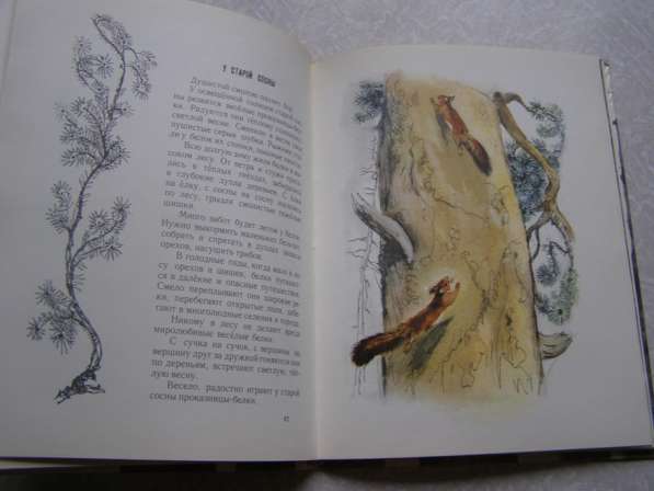 Год в лесу (книга для детей про животных) в Москве фото 3