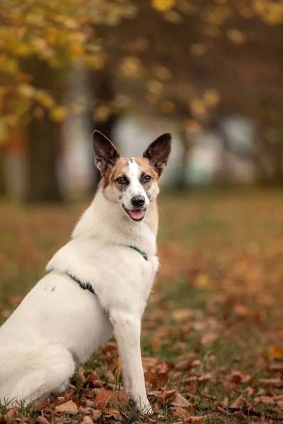 Тунис в поисках любящей семьи в Москве фото 34