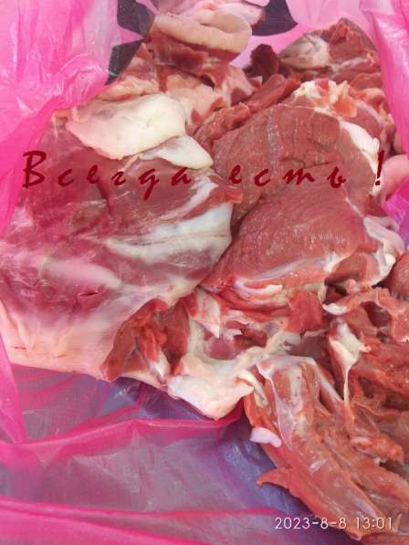 Мясо баранина курдюк говядина лёгкое в Нижнем Новгороде фото 5