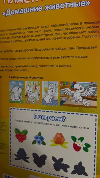 Пластилиновые раскраски в Тамбове
