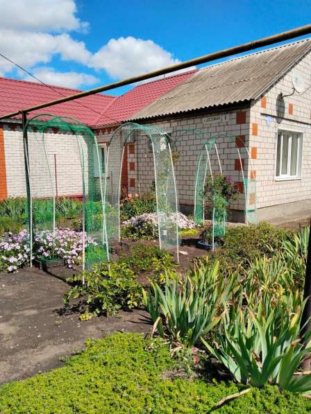 Продам пол дома по ул. Шоссейная