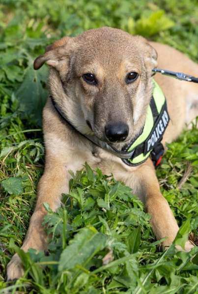 Сироте Марселю нужен дом в Москве фото 5