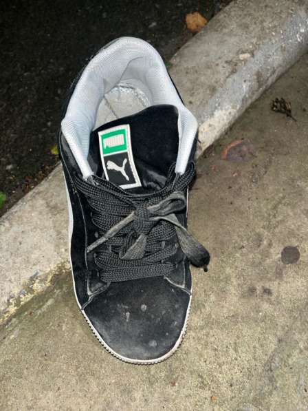 Настоящая пума